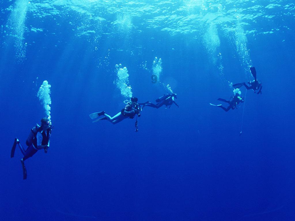 海贼王伟大冒险