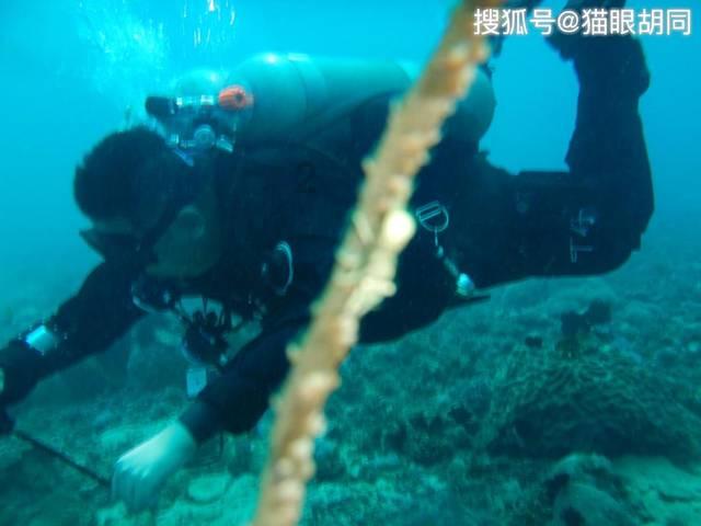 逃离电梯间