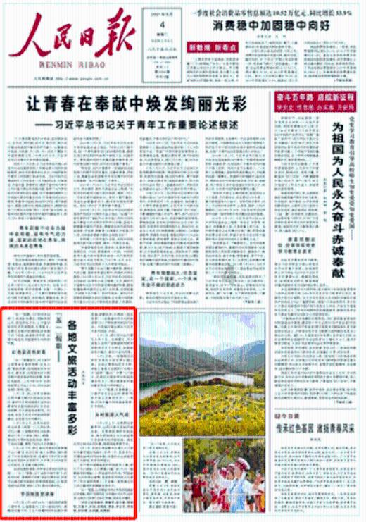 空闲农场