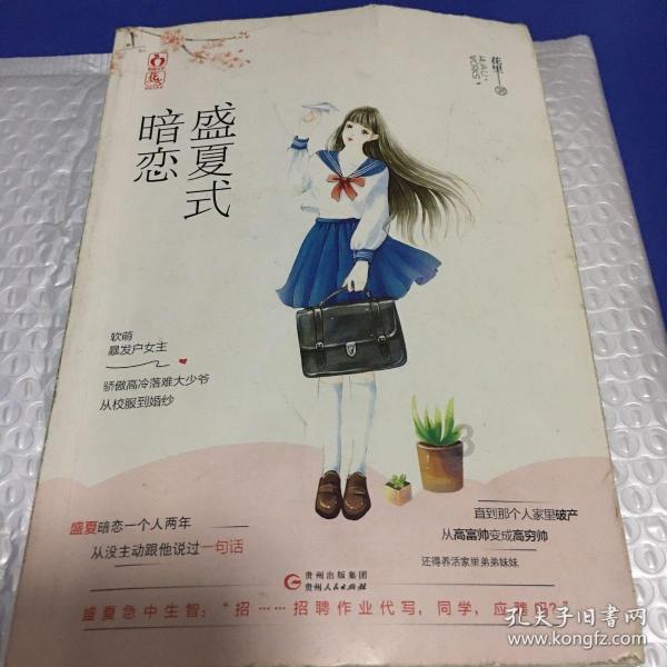 疯狂的小偷